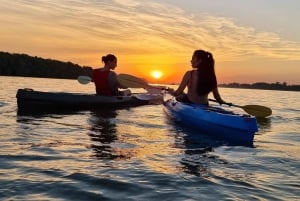 Belgrade: Sunset Kayak Tour