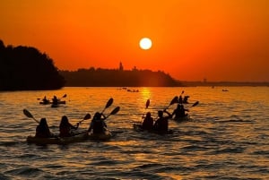 Belgrade: Sunset Kayak Tour