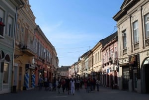 Visite privée avec transfert de Belgrade à Sarajevo via Novi Sad