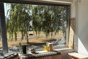 Belgrad: Tufting-Workshop mit 100 % Wolle