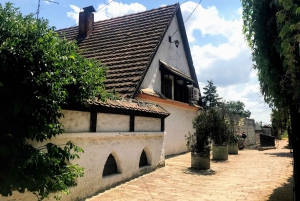 Belgrade: Zemun Private Walking Tour with a Local Guide