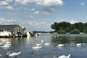 Belgrade: Zemun Private Walking Tour with a Local Guide