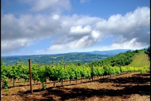 Central Serbia: Royal Dynasty Half Day Tour from Belgrade
