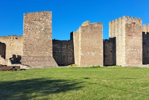 Forteresses du Danube et parc archéologique romain