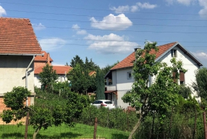 Djerdap-ravinen och Golubac-fästningen privat tur