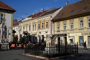Tour di E Scooter Zemun