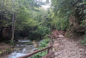 Fortified Manasija Monastery and Resava Cave Tour