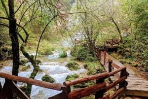 Fortified Manasija Monastery and Resava Cave Tour