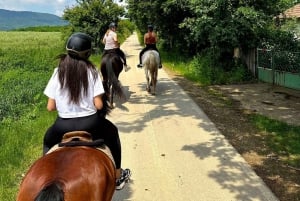 Depuis Belgade : Mtn. Kosmaj : visite d'une jounée à cheval et randonnée pédestre