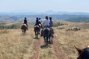 Belgradista: 6 päivän Šumadija-polkuhevosretki