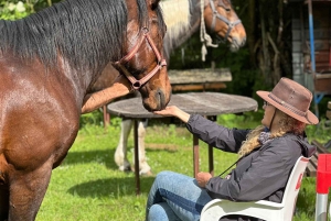 Belgradista: 6 päivän Šumadija-polkuhevosretki