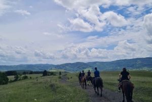 Belgradista: 6 päivän Šumadija-polkuhevosretki