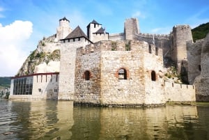 Vanuit Belgrado: Dagvullende historische Donau tour