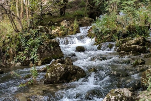 Из Белграда: полный день в пещере Ресава и средневековых монастырях