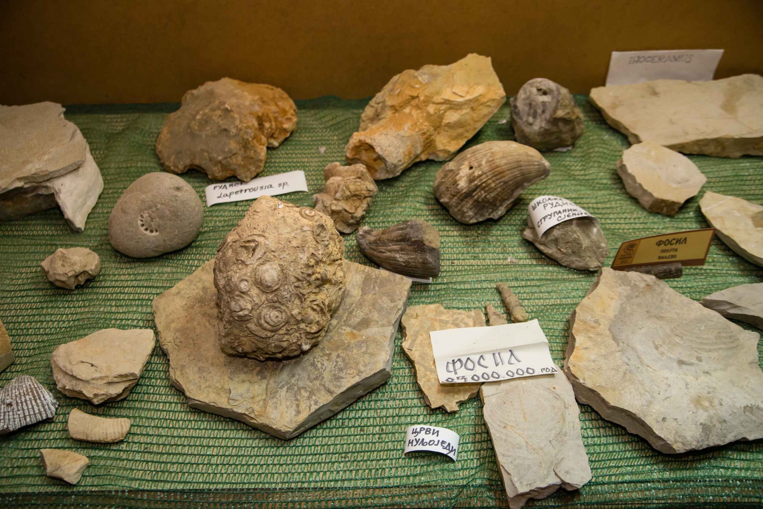 ベオグラード発：セルビアの村への1日ツアー（ランチ付き）