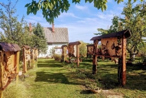 Fra Beograd: Golubac festning og Iron Gate Gorge Tour