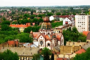 Från Belgrad: Rundresa till juveler i norra Serbien