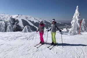Desde Belgrado: Parque Nacional y Estación de Esquí de Kopaonik - día completo