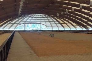 Uit Belgrado: Niš - Een geest van het zuiden