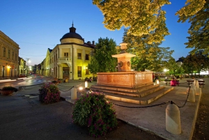 From Belgrade: Novi Sad and Karlovci Sremski Wine Tasting