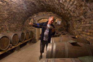 From Belgrade: Novi Sad and Karlovci Sremski Wine Tasting
