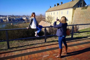 From Belgrade: Novi Sad and Karlovci Sremski Wine Tasting