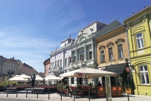 De Belgrado: Novi Sad e Fruska gora e vinícola e mosteiro