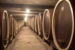 From Belgrade: Oplenac mausoleum Royal tour with winery