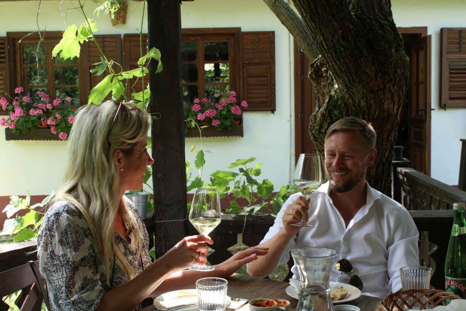 Från Belgrad eller Novi Sad: Privat vintur i Fruska Gora