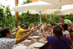 Från Belgrad eller Novi Sad: Privat vintur i Fruska Gora