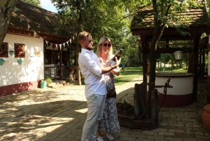 Från Belgrad eller Novi Sad: Privat vintur i Fruska Gora