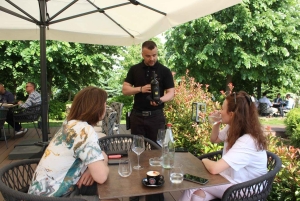 Från Belgrad eller Novi Sad: Privat vintur i Fruska Gora