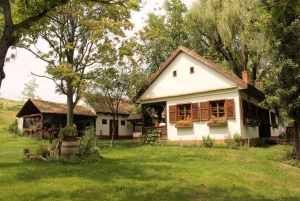 Från Belgrad eller Novi Sad: Privat vintur i Fruska Gora