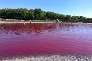 Från Belgrad: Rosa sjön - Pacir Thermal spa