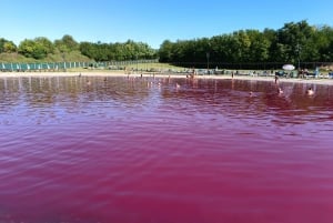 Da Belgrado: Lago rosa - Terme di Pacir