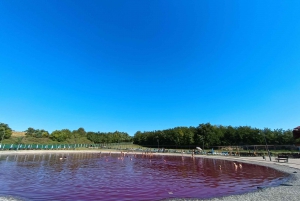 De Belgrado: Lago Rosa - Termas de Pacir