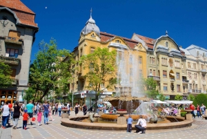 Из Белграда: частная однодневная поездка в Румынию