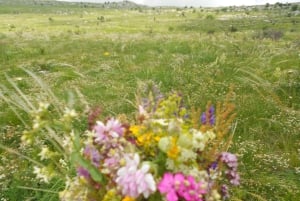 From Belgrade: Rtanj Mountain Hike Day Trip with Guide