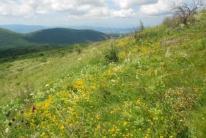 From Belgrade: Rtanj Mountain Hike Day Trip with Guide