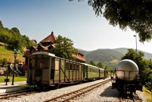 De Belgrado: Trem Sargan 8 e tour de 1 dia pela cidade de madeira