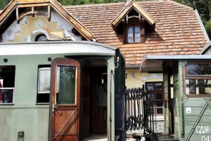 Van Belgrado: Sargan 8 Railway en Wooden City 1 Day Tour
