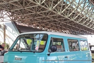 Från Belgrad: Sremski Karlovci och Novi Sad med retrobil