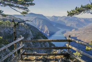From Belgrade: Tara National Park & Drina River Valley Tour
