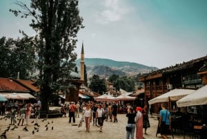 Da Belgrado a Sarajevo: Tour privato di trasferimento