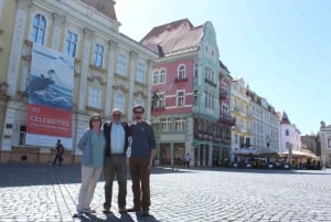 Tour privato con trasferimento da Belgrado a Timisoara