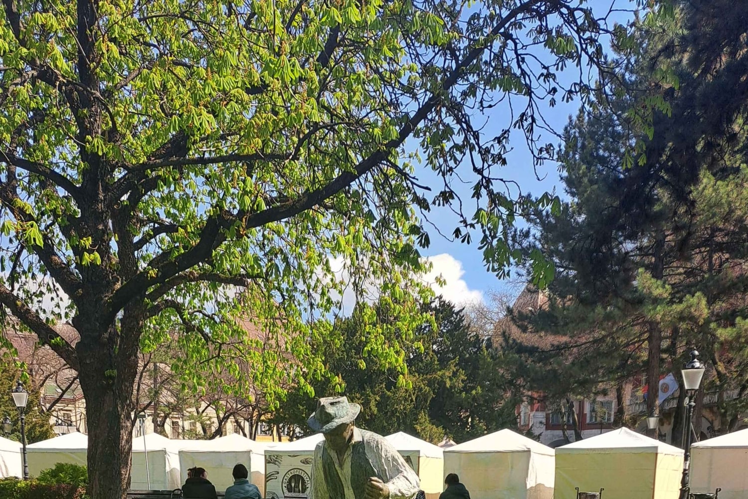 ベオグラード発：スボティツァと素晴らしいゾブナティツァ競馬場を訪問しましょう