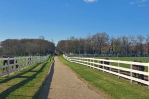 ベオグラード発：スボティツァと素晴らしいゾブナティツァ競馬場を訪問しましょう