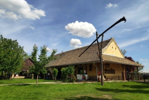 Private Novi Sad, Sremski Karlovci & Farmer's House