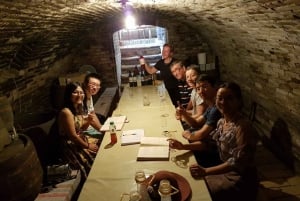 From Belgrade: Vojvodina Province Tour with Wine Tasting