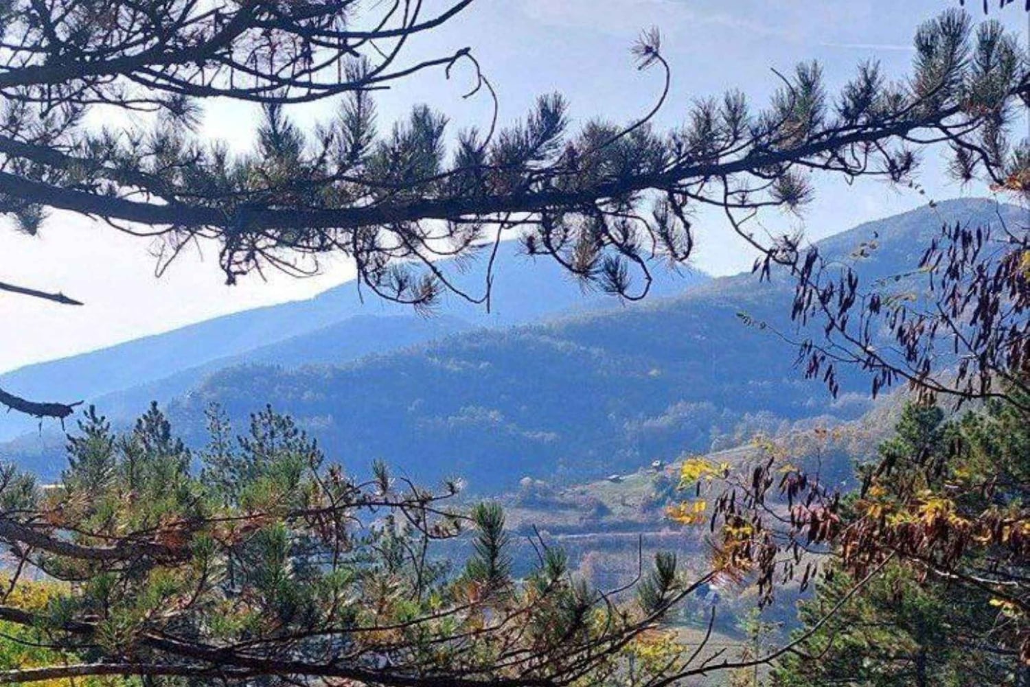 Belgradista: Zlatibor, Drvengrad ja gondoli-kierros